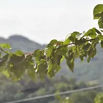 Apartma Bajci Appartement *