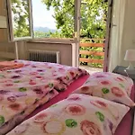 Apartma Bajci *