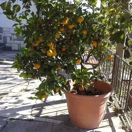 Apartma Bajci Ajdovščina