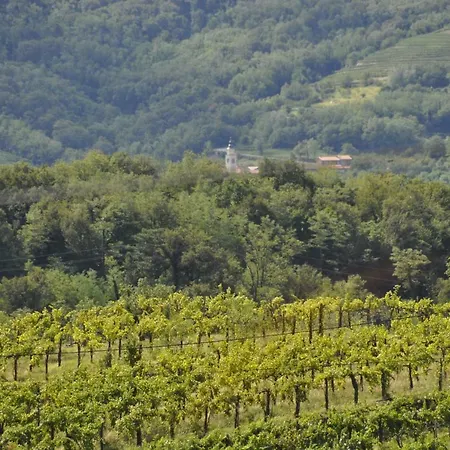 דירה Apartma Bajci