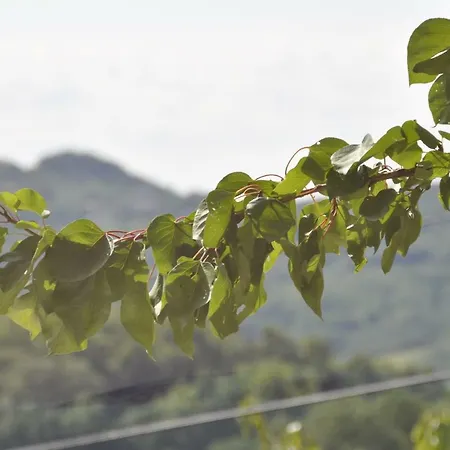 Apartma Bajci Daire *