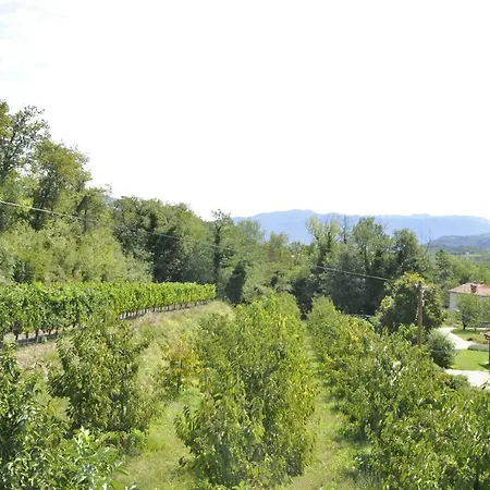 Apartma Bajci * Ajdovščina