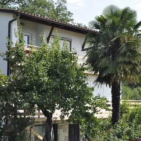 Apartma Bajci