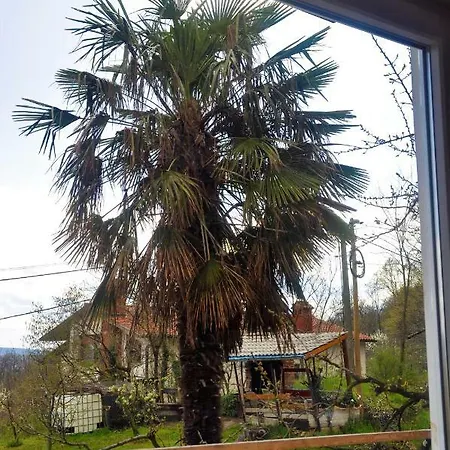 Apartma Bajci דירה