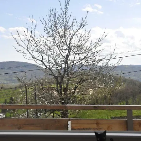 Apartament Apartma Bajci Ajdovščina