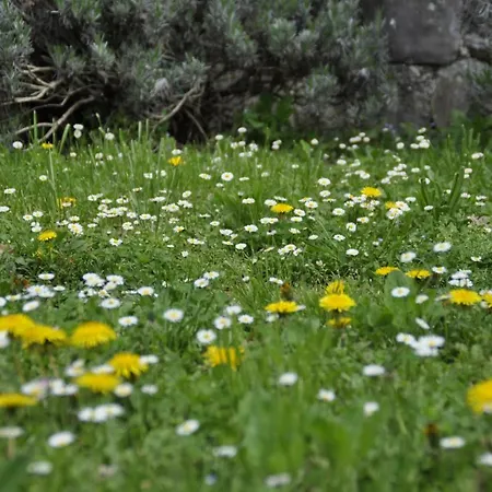 Apartma Bajci Lägenhet *