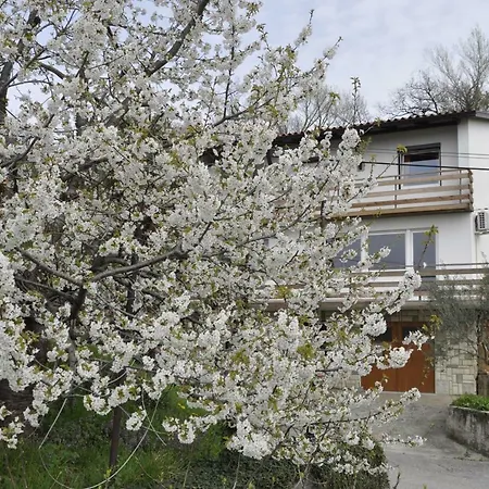 Apartament Apartma Bajci *