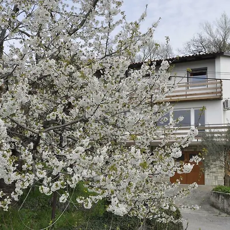 Apartment Apartma Bajci *
