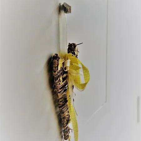 Apartma Bajci דירה *