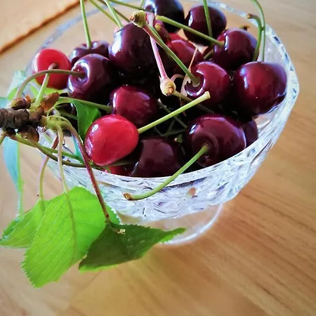Apartma Bajci * Ajdovščina