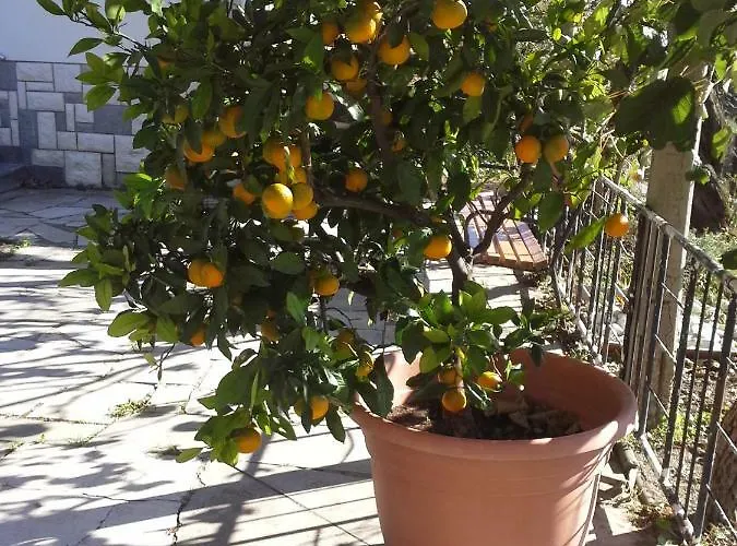 Apartma Bajci Ajdovščina