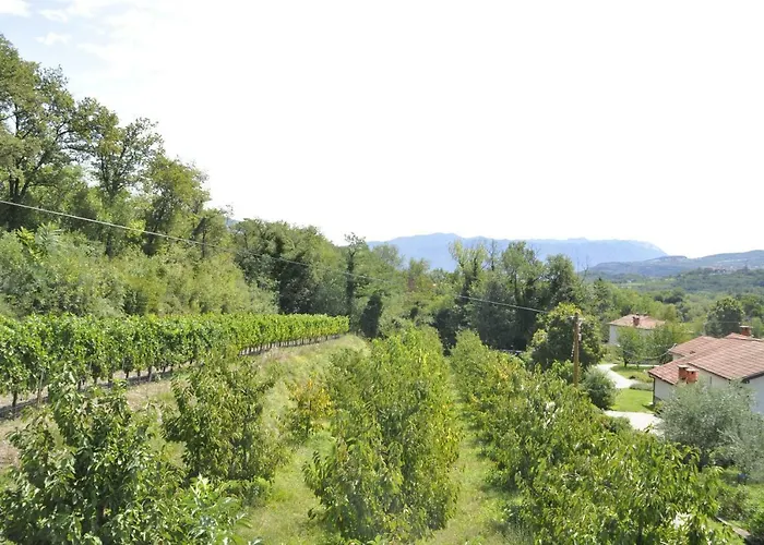 Apartma Bajci * Ajdovščina