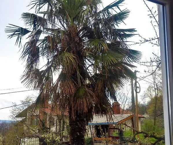 Apartma Bajci Apartamento