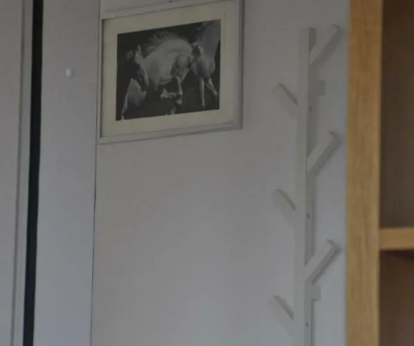 Apartma Bajci דירה