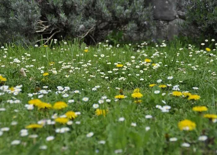 Apartma Bajci דירה *