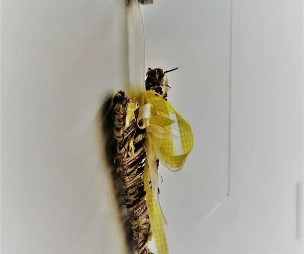 Apartma Bajci Apartamento *