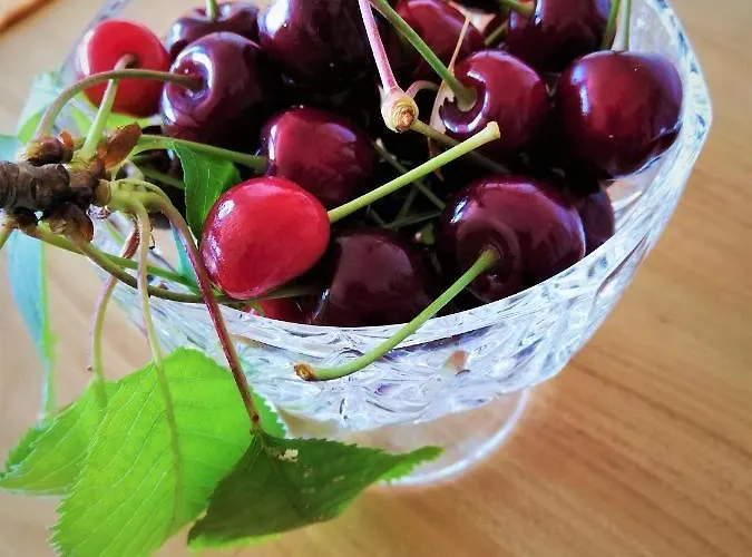 Apartma Bajci * Ajdovščina